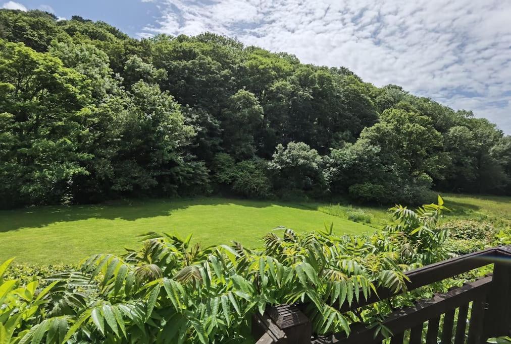 Kallowen Cottage At Crackington Haven, Near Bude And Boscastle, Cornwall Buitenkant foto
